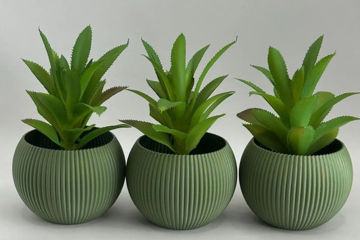 Como Montar Uma Varanda Aconchegante do Zero: Guia Completo plantas suculentas